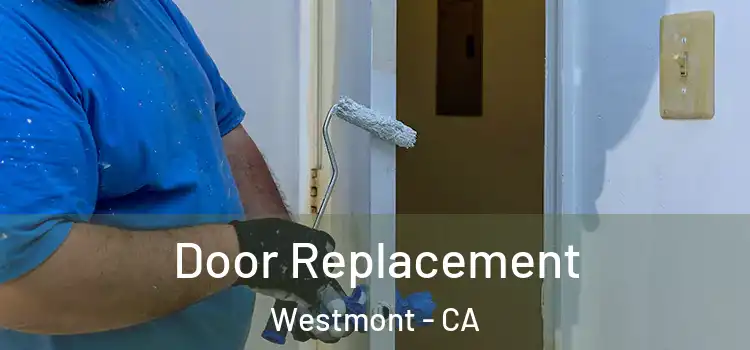 Door Replacement Westmont - CA