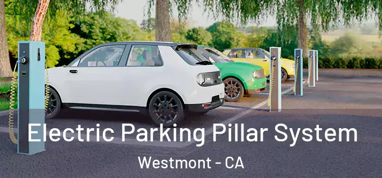 Electric Parking Pillar System Westmont - CA