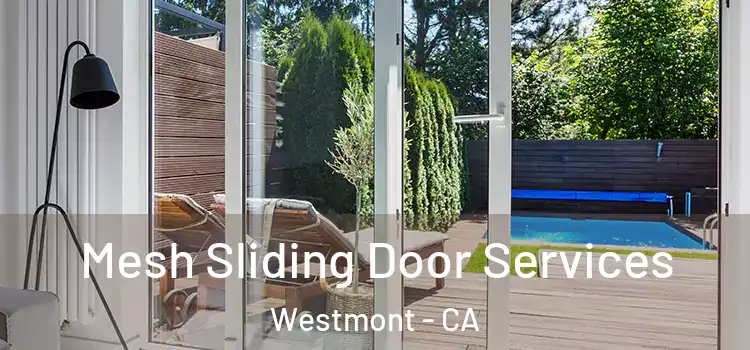 Mesh Sliding Door Services Westmont - CA