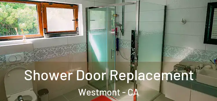 Shower Door Replacement Westmont - CA